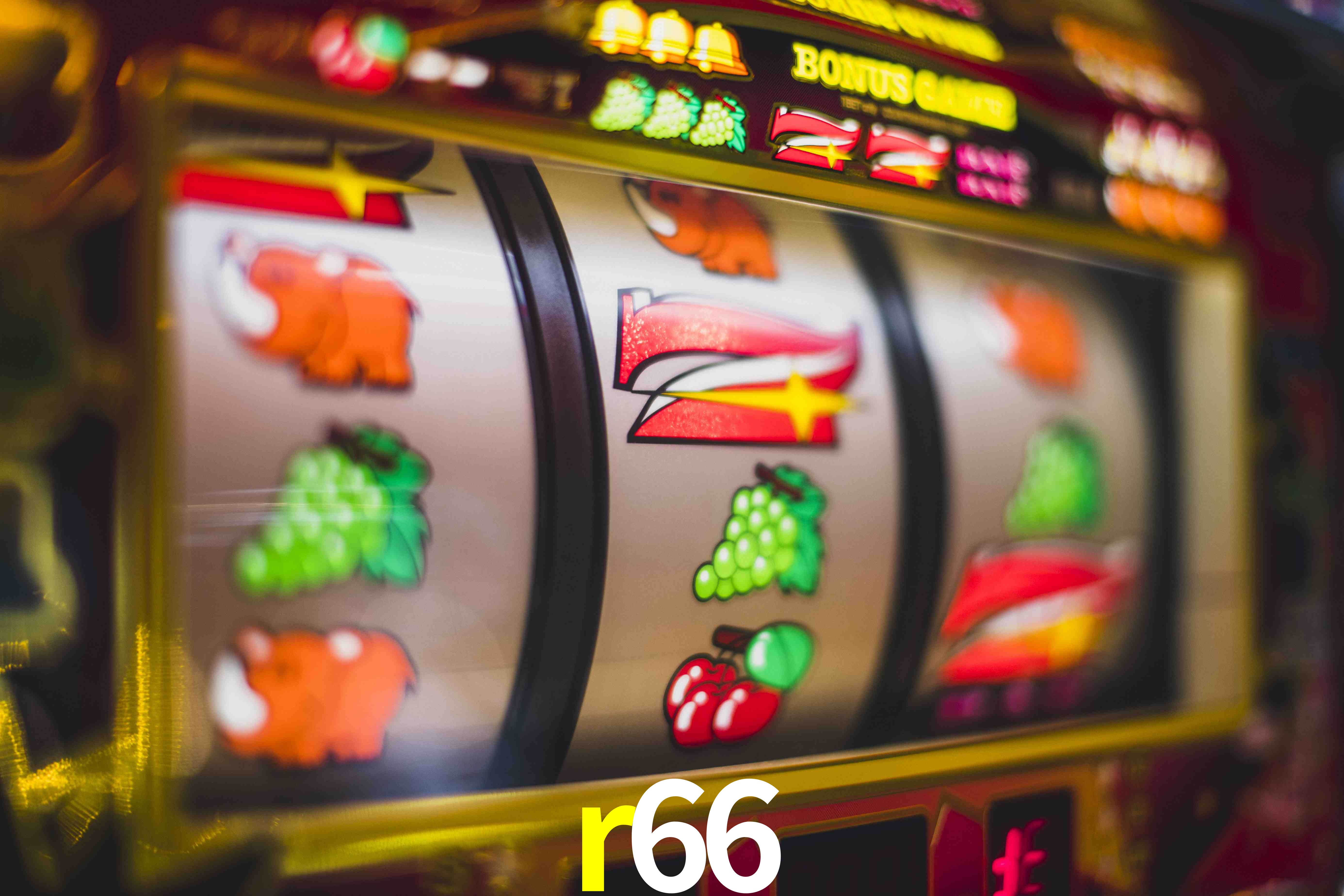 Sports Statistics r66